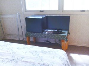 テレビと冷蔵庫